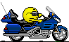 :motorcycle02: